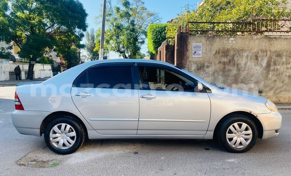 Comprar Usado Toyota Corolla Prata Carro em Maputo em Maputo Comprar Usado Toyota Corolla Prata Carro em Maputo em Maputo