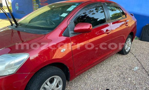 Tenga Tsaru Toyota Belta Tsvuku Mota in Maputo in Maputo Tenga Tsaru Toyota Belta Tsvuku Mota in Maputo in Maputo