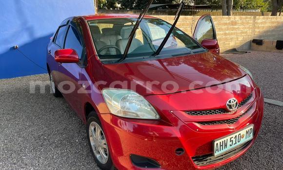 Tenga Tsaru Toyota Belta Tsvuku Mota in Maputo in Maputo Tenga Tsaru Toyota Belta Tsvuku Mota in Maputo in Maputo