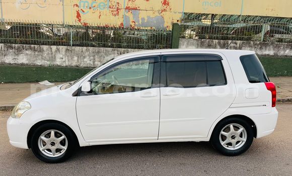 Tenga Tsaru Toyota Raum Chena Mota in Maputo in Maputo Tenga Tsaru Toyota Raum Chena Mota in Maputo in Maputo