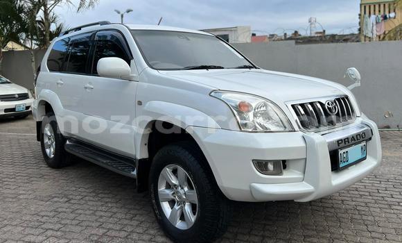 Comprar Usado Toyota Prado Branco Carro em Maputo em Maputo
