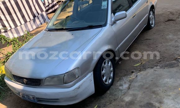 Tenga Tsaru Toyota Corolla Sirivha Mota in Maputo in Maputo Tenga Tsaru Toyota Corolla Sirivha Mota in Maputo in Maputo