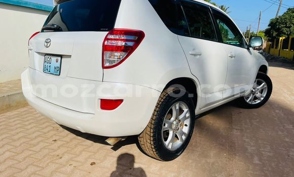 Buy Used Toyota RAV4 White Car in Maputo in Maputo Buy Used Toyota RAV4 White Car in Maputo in Maputo