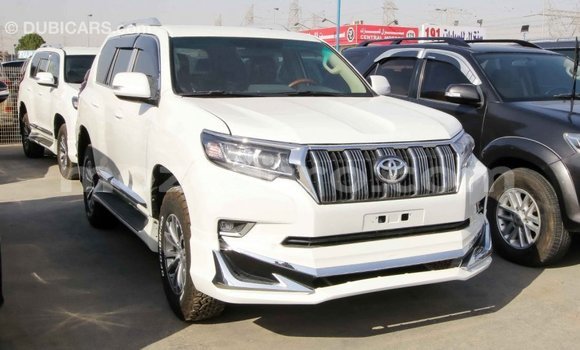 Comprar Importar Toyota Prado Branco Carro em Import - Dubai em Cabo Delgado Comprar Importar Toyota Prado Branco Carro em Import - Dubai em Cabo Delgado