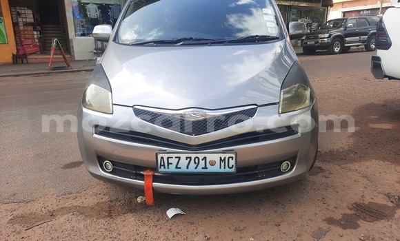 Comprar Usado Toyota Ractis Castanho Carro em Maputo em Maputo