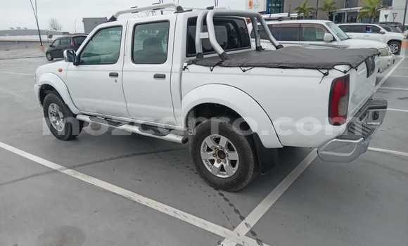 Tenga Tsaru Nissan Hardbody Chena Mota in Maputo in Maputo Tenga Tsaru Nissan Hardbody Chena Mota in Maputo in Maputo