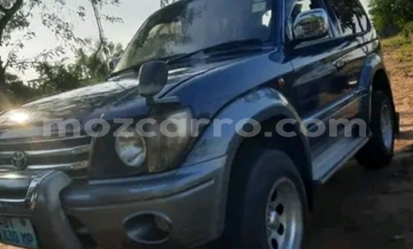 Buy Used Toyota Land Cruiser Prado Other Car in Maputo in Maputo Buy Used Toyota Land Cruiser Prado Other Car in Maputo in Maputo