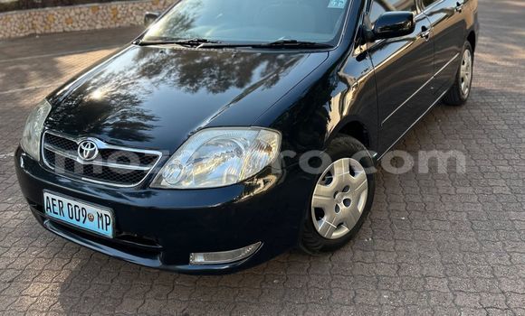Comprar Usado Toyota Corolla Preto Carro em Maputo em Maputo Comprar Usado Toyota Corolla Preto Carro em Maputo em Maputo