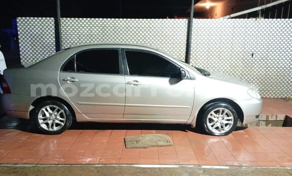 Comprar Usado Toyota Corolla Prata Carro em Maputo em Maputo Comprar Usado Toyota Corolla Prata Carro em Maputo em Maputo