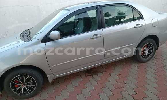 Tenga Tsaru Toyota Corolla Zvimwe Mota in Maputo in Maputo Tenga Tsaru Toyota Corolla Zvimwe Mota in Maputo in Maputo