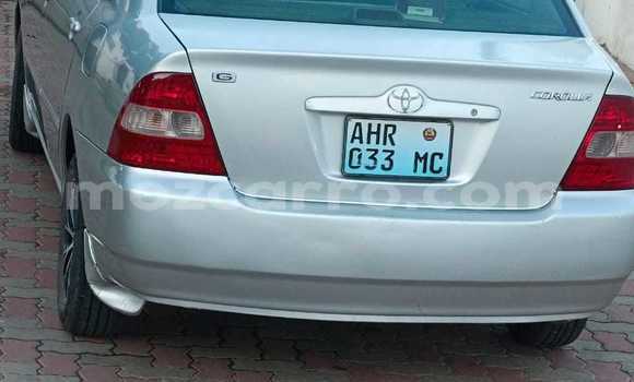 Tenga Tsaru Toyota Corolla Zvimwe Mota in Maputo in Maputo Tenga Tsaru Toyota Corolla Zvimwe Mota in Maputo in Maputo