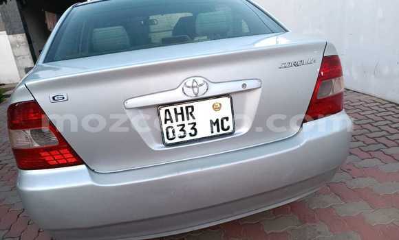 Tenga Tsaru Toyota Corolla Zvimwe Mota in Maputo in Maputo Tenga Tsaru Toyota Corolla Zvimwe Mota in Maputo in Maputo