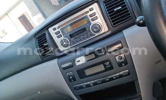Tenga Tsaru Toyota Corolla Zvimwe Mota in Maputo in Maputo Tenga Tsaru Toyota Corolla Zvimwe Mota in Maputo in Maputo