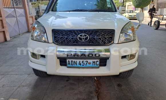 Buy Used Toyota Land Cruiser Prado White Car in Maputo in Maputo