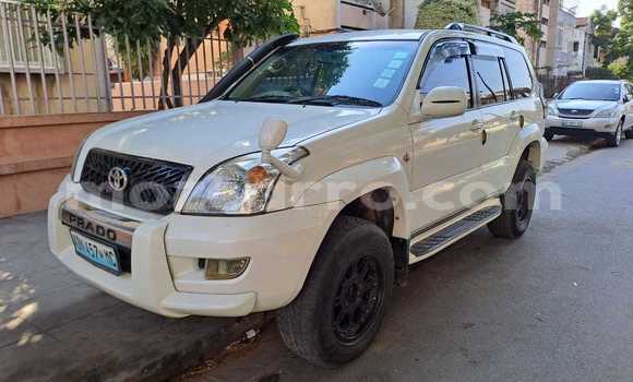 Tenga Tsaru Toyota Land Cruiser Prado Chena Mota in Maputo in Maputo Tenga Tsaru Toyota Land Cruiser Prado Chena Mota in Maputo in Maputo