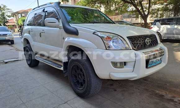 Tenga Tsaru Toyota Land Cruiser Prado Chena Mota in Maputo in Maputo Tenga Tsaru Toyota Land Cruiser Prado Chena Mota in Maputo in Maputo