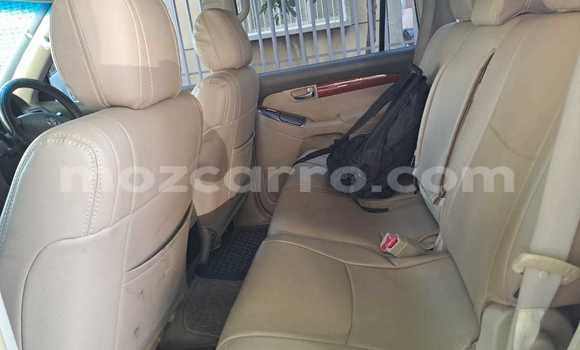 Tenga Tsaru Toyota Land Cruiser Prado Chena Mota in Maputo in Maputo Tenga Tsaru Toyota Land Cruiser Prado Chena Mota in Maputo in Maputo