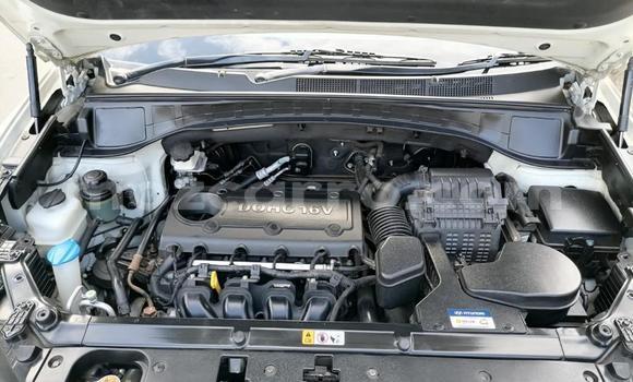 Tenga Tsaru Hyundai Santa Fe Chena Mota in Maputo in Maputo Tenga Tsaru Hyundai Santa Fe Chena Mota in Maputo in Maputo