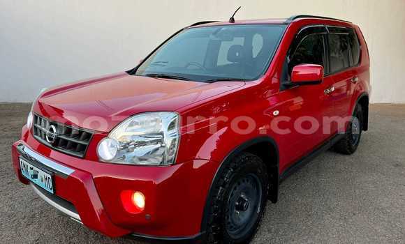 Buy Used Nissan X-Trail Red Car in Maputo in Maputo Buy Used Nissan X-Trail Red Car in Maputo in Maputo