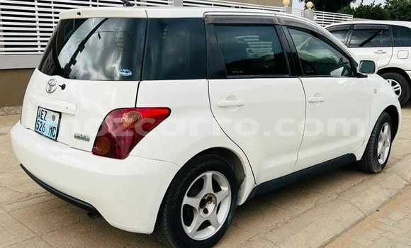 Tenga Tsaru Toyota IST Chena Mota in Maputo in Maputo Tenga Tsaru Toyota IST Chena Mota in Maputo in Maputo