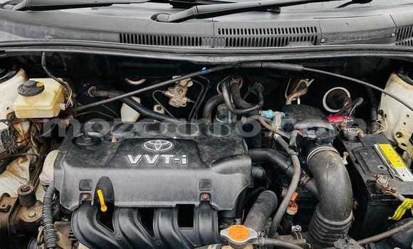 Tenga Tsaru Toyota IST Chena Mota in Maputo in Maputo Tenga Tsaru Toyota IST Chena Mota in Maputo in Maputo