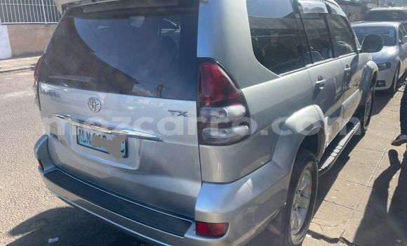 Tenga Tsaru Toyota Land Cruiser Prado Sirivha Mota in Maputo in Maputo Tenga Tsaru Toyota Land Cruiser Prado Sirivha Mota in Maputo in Maputo