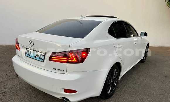 Tenga Tsaru Lexus IS Chena Mota in Maputo in Maputo Tenga Tsaru Lexus IS Chena Mota in Maputo in Maputo