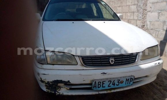 Buy Used Toyota Corolla White Car in Maputo in Maputo Buy Used Toyota Corolla White Car in Maputo in Maputo