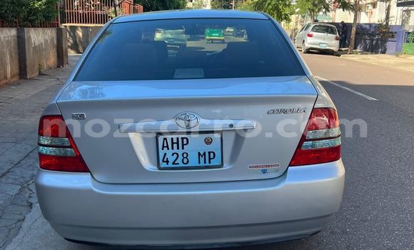 Nunua Ilio tumika Toyota Corolla Fedha Gari ndani ya Maputo nchini Maputo Nunua Ilio tumika Toyota Corolla Fedha Gari ndani ya Maputo nchini Maputo