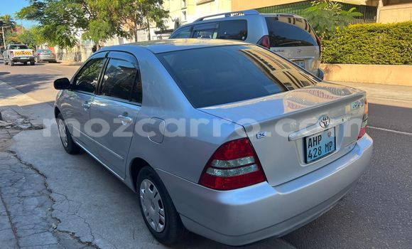 Nunua Ilio tumika Toyota Corolla Fedha Gari ndani ya Maputo nchini Maputo Nunua Ilio tumika Toyota Corolla Fedha Gari ndani ya Maputo nchini Maputo