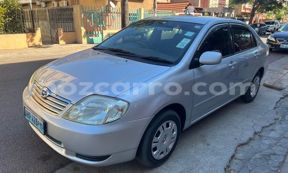 Nunua Ilio tumika Toyota Corolla Fedha Gari ndani ya Maputo nchini Maputo Nunua Ilio tumika Toyota Corolla Fedha Gari ndani ya Maputo nchini Maputo