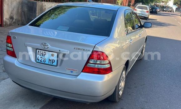 Nunua Ilio tumika Toyota Corolla Fedha Gari ndani ya Maputo nchini Maputo Nunua Ilio tumika Toyota Corolla Fedha Gari ndani ya Maputo nchini Maputo