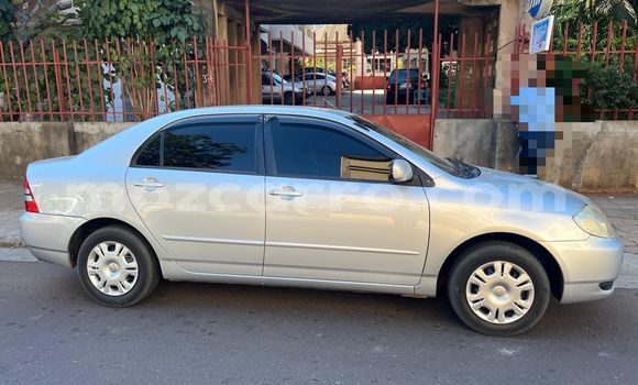 Nunua Ilio tumika Toyota Corolla Fedha Gari ndani ya Maputo nchini Maputo Nunua Ilio tumika Toyota Corolla Fedha Gari ndani ya Maputo nchini Maputo
