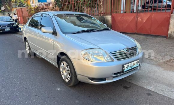 Nunua Ilio tumika Toyota Corolla Fedha Gari ndani ya Maputo nchini Maputo Nunua Ilio tumika Toyota Corolla Fedha Gari ndani ya Maputo nchini Maputo