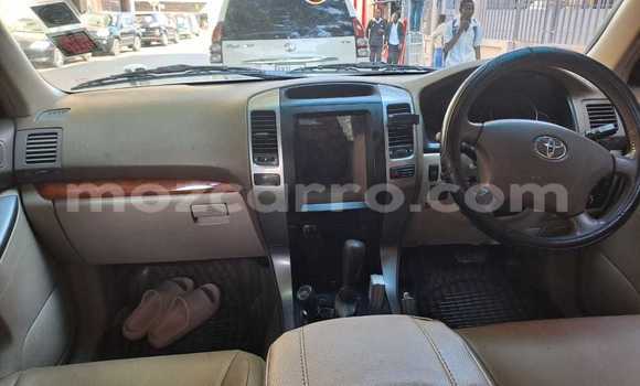 Buy Used Toyota Land Cruiser Prado White Car in Maputo in Maputo Buy Used Toyota Land Cruiser Prado White Car in Maputo in Maputo