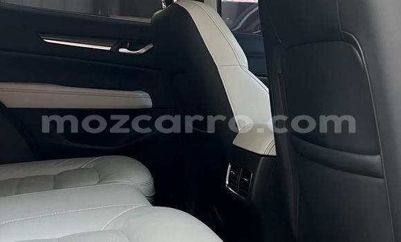 Buy Used Mazda CX-5 Red Car in Maputo in Maputo Buy Used Mazda CX-5 Red Car in Maputo in Maputo