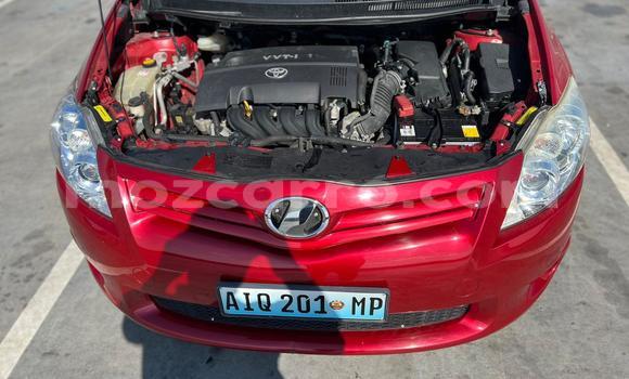 Nunua Ilio tumika Toyota Auris Nyekundu Gari ndani ya Maputo nchini Maputo Nunua Ilio tumika Toyota Auris Nyekundu Gari ndani ya Maputo nchini Maputo