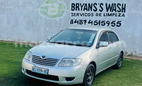 Comprar Usado Toyota Corolla Prata Carro em Maputo em Maputo Comprar Usado Toyota Corolla Prata Carro em Maputo em Maputo