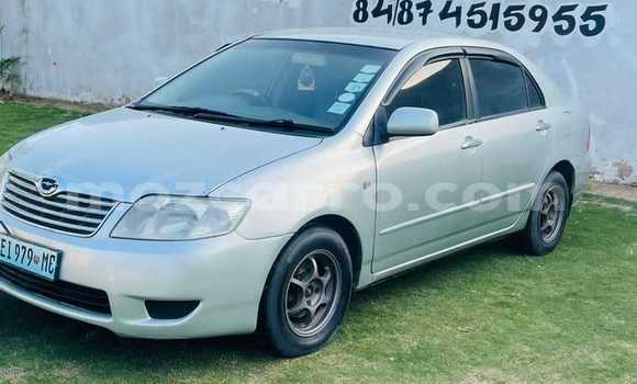 Comprar Usado Toyota Corolla Prata Carro em Maputo em Maputo Comprar Usado Toyota Corolla Prata Carro em Maputo em Maputo