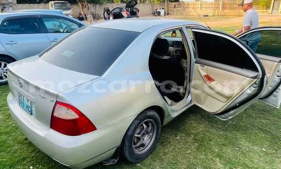 Comprar Usado Toyota Corolla Prata Carro em Maputo em Maputo Comprar Usado Toyota Corolla Prata Carro em Maputo em Maputo