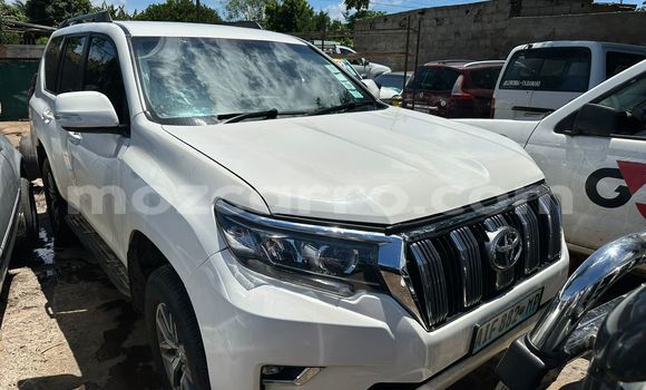 Comprar Usado Toyota Prado Branco Carro em Maputo em Maputo