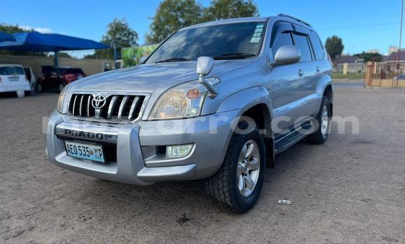 Nunua Ilio tumika Toyota Prado Nyingine Gari ndani ya Maputo nchini Maputo Nunua Ilio tumika Toyota Prado Nyingine Gari ndani ya Maputo nchini Maputo