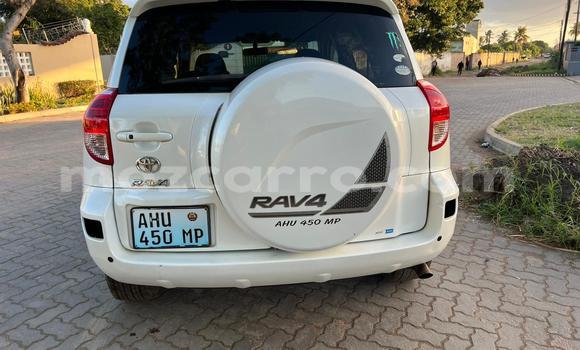 Nunua Ilio tumika Toyota RAV4 Nyeupe Gari ndani ya Maputo nchini Maputo Nunua Ilio tumika Toyota RAV4 Nyeupe Gari ndani ya Maputo nchini Maputo