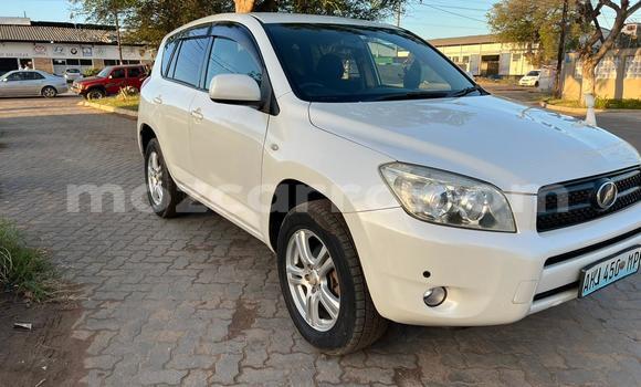 Nunua Ilio tumika Toyota RAV4 Nyeupe Gari ndani ya Maputo nchini Maputo Nunua Ilio tumika Toyota RAV4 Nyeupe Gari ndani ya Maputo nchini Maputo