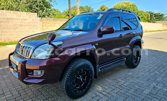 Tenga Tsaru Toyota Land Cruiser Prado Tsvuku Mota in Maputo in Maputo Tenga Tsaru Toyota Land Cruiser Prado Tsvuku Mota in Maputo in Maputo