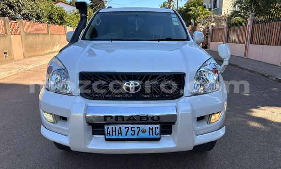 Buy Used Toyota Prado White Car in Maputo in Maputo Buy Used Toyota Prado White Car in Maputo in Maputo
