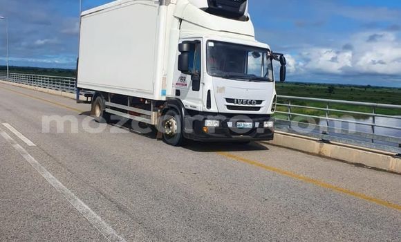 Tenga Tsaru Iveco Cargo Chena Rori in Maputo in Maputo Tenga Tsaru Iveco Cargo Chena Rori in Maputo in Maputo