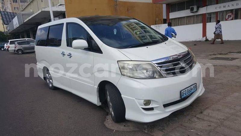 Big with watermark 59325901 2173962559378161 6735204779707858944 n