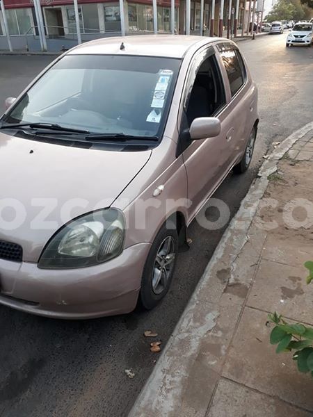 Big with watermark 59404737 2173962472711503 5840896196729634816 n