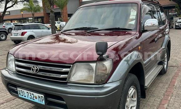 Nunua Ilio tumika Toyota Prado Nyingine Gari ndani ya Maputo nchini Maputo Nunua Ilio tumika Toyota Prado Nyingine Gari ndani ya Maputo nchini Maputo